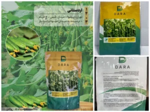 بذر خیار هیبرید F1 رسپینا