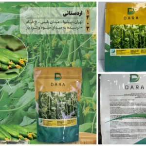 بذر خیار رسپینا