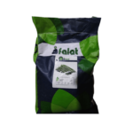 بذر لوبیا سبز دلفان