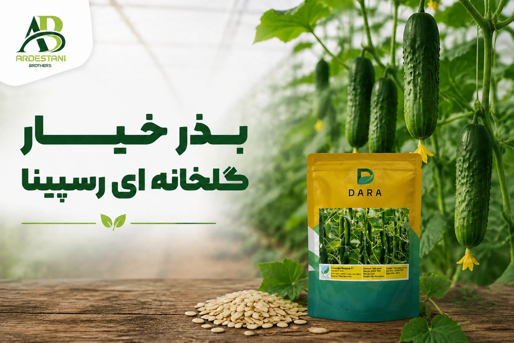 خرید بذر خیار گلخانه ای رسپینا ؛ انتخابی مطمئن برای کشت پربازده گلخانه‌ای