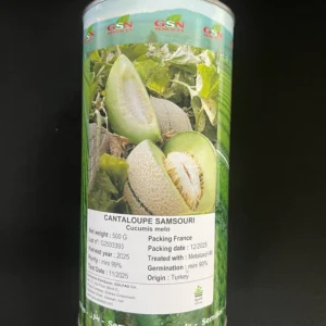 بذر طالبی استاندارد سمسوری