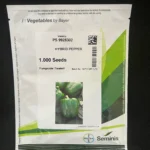 فلفل دلمه سبز 302