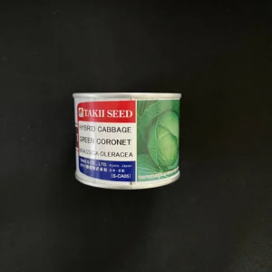 بذر کلم پیچ گرین کورنت